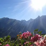Bergerhof 3*